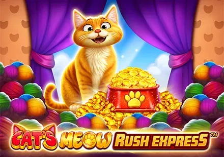 Cat's Meow Rush Express™ game screenshot